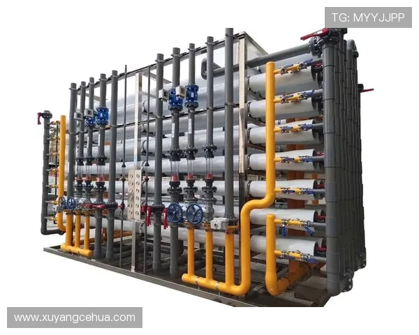 奥尔莫肋部渗透与小范围配合解析