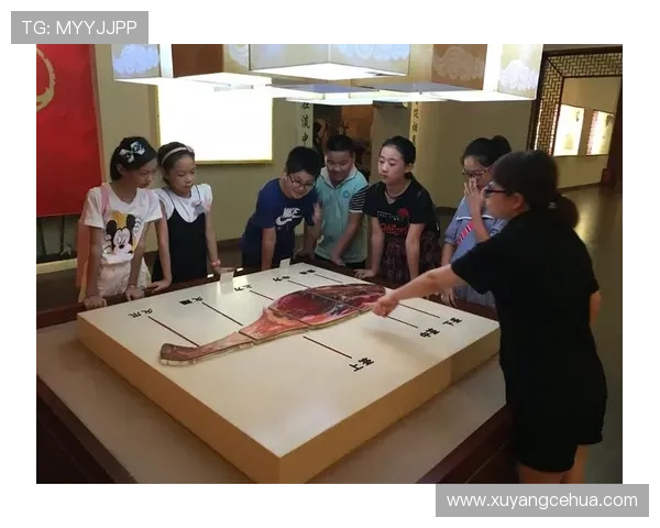 哈兰德今天又把豪车停成小菜一碟，普通人看着只想哭